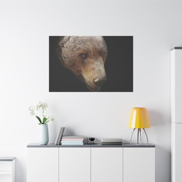 91638-312.jpg Bear Head Artistic Standard Canvas