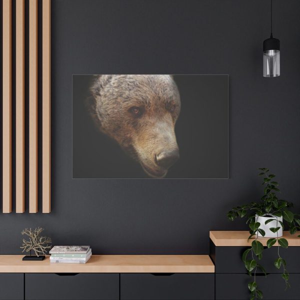 91638-313.jpg Bear Head Artistic Standard Canvas