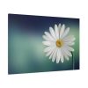 91638-330.jpg Lonely Daisy Standard Canvas