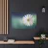 91638-333.jpg Lonely Daisy Standard Canvas