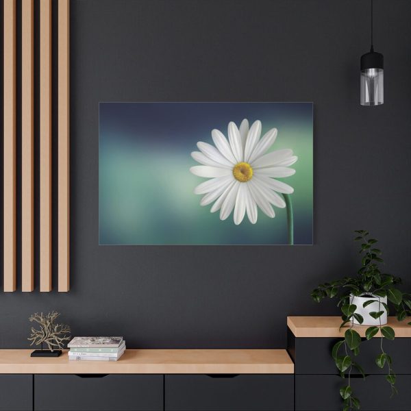 91638-333.jpg Lonely Daisy Standard Canvas