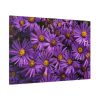 91638-340.jpg Purple Daisy Standard Canvas