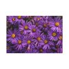 91638-341.jpg Purple Daisy Standard Canvas