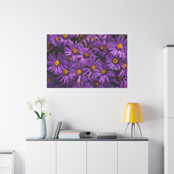 91638-342.jpg Purple Daisy Standard Canvas
