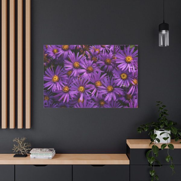 91638-343.jpg Purple Daisy Standard Canvas