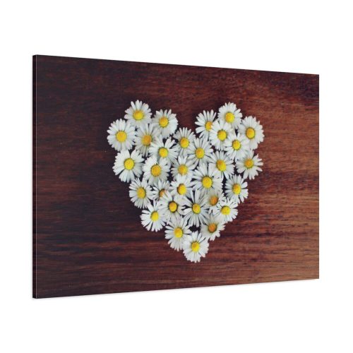 White Daisy in Heart Shape Standard Canvas