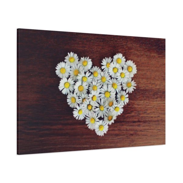 91638-345.jpg White Daisy in Heart Shape Standard Canvas
