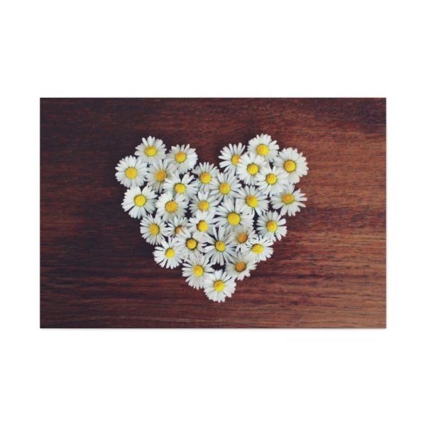 91638-346.jpg White Daisy in Heart Shape Standard Canvas