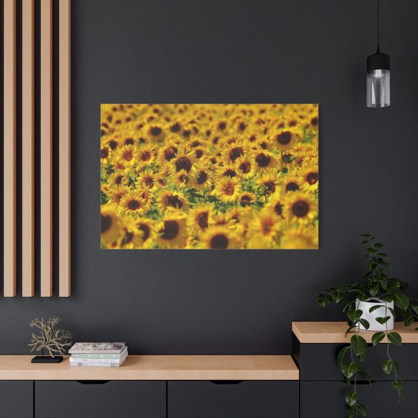 91638-35.jpg Sunflower Farm Standard Canvas