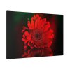 91638-350.jpg Red Daisy Standard Canvas