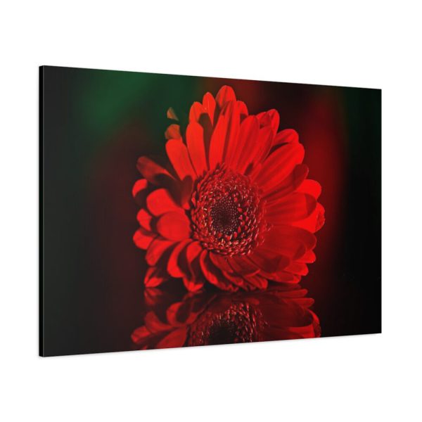 91638-350.jpg Red Daisy Standard Canvas