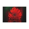 91638-351.jpg Red Daisy Standard Canvas