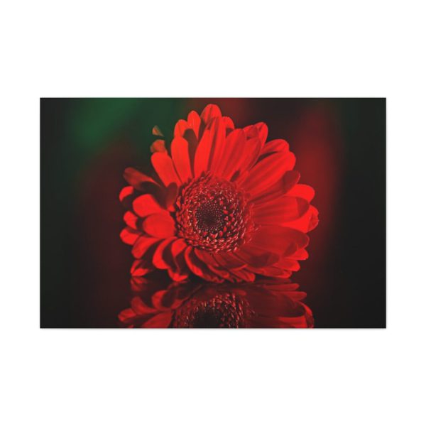 91638-351.jpg Red Daisy Standard Canvas