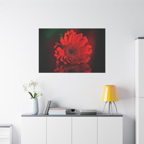 91638-352.jpg Red Daisy Standard Canvas