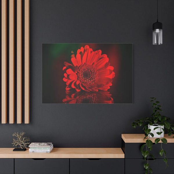 91638-353.jpg Red Daisy Standard Canvas