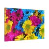 91638-355.jpg Colorful Daisies Standard Canvas