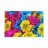91638-356.jpg Colorful Daisies Standard Canvas