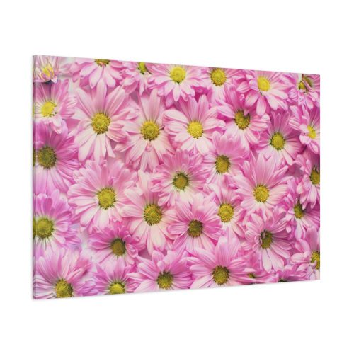 91638-360.jpg Pink Daisies Standard Canvas