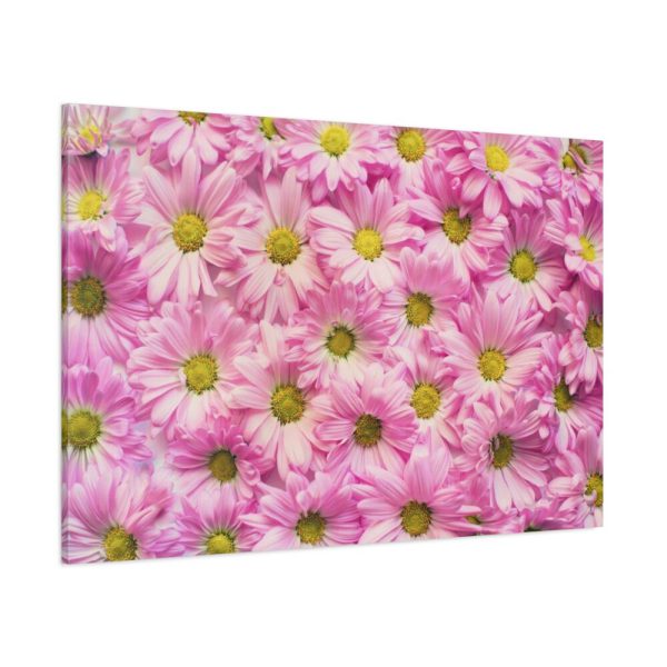 91638-360.jpg Pink Daisies Standard Canvas