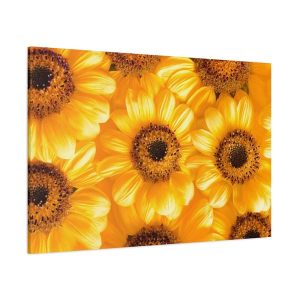 91638-365.jpg Yellow Daisies Standard Canvas