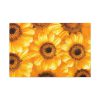 91638-366.jpg Yellow Daisies Standard Canvas