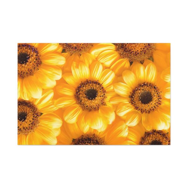 91638-366.jpg Yellow Daisies Standard Canvas