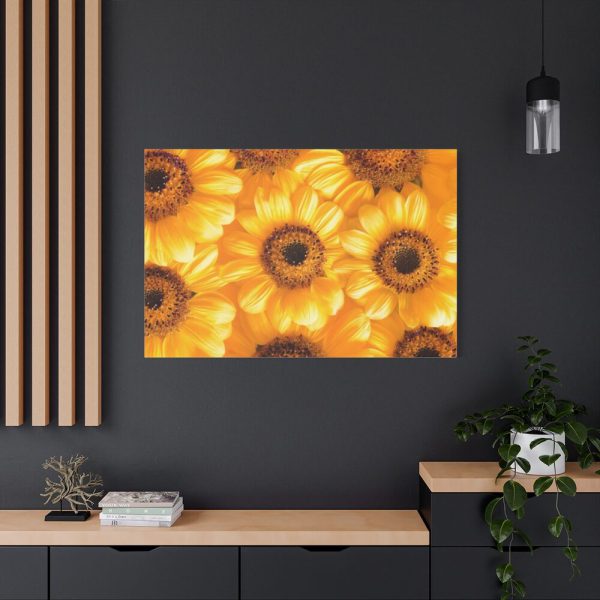 91638-368.jpg Yellow Daisies Standard Canvas