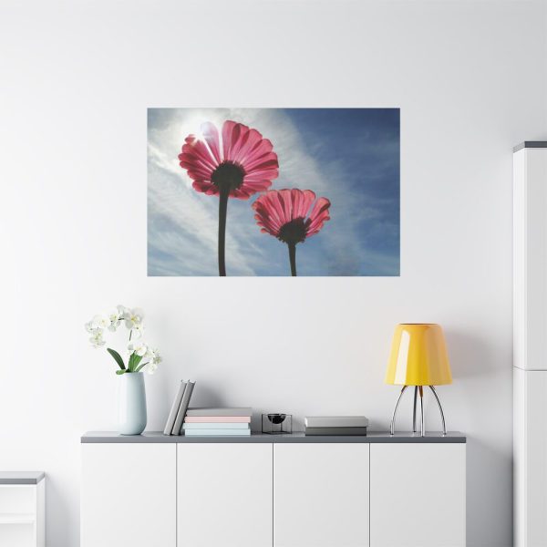 91638-372.jpg Pink Daisy with Blue Sky Standard Canvas