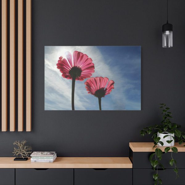 91638-373.jpg Pink Daisy with Blue Sky Standard Canvas