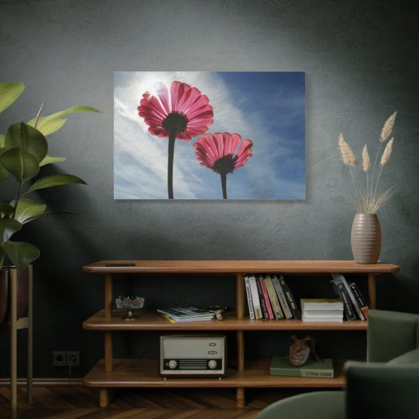 91638-374.jpg Pink Daisy with Blue Sky Standard Canvas