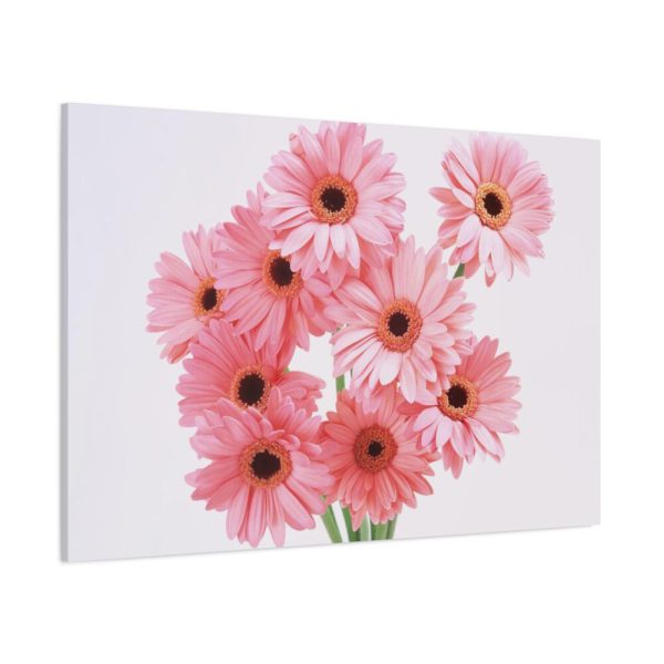 91638-375.jpg Pink Gerbera Daisies Standard Canvas