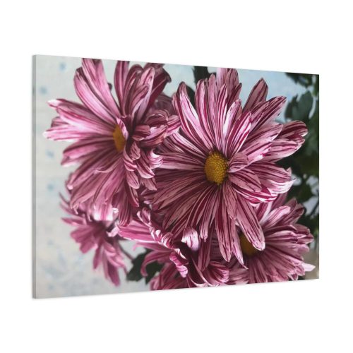 91638-380.jpg Pink-White Daisies Standard Canvas