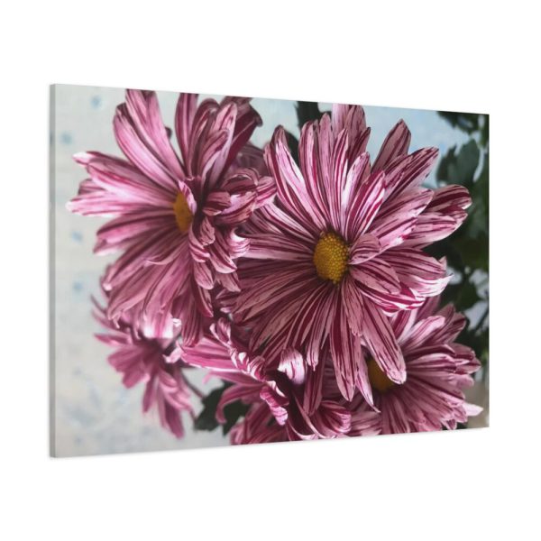 91638-380.jpg Pink-White Daisies Standard Canvas