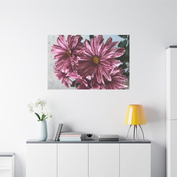 91638-382.jpg Pink-White Daisies Standard Canvas