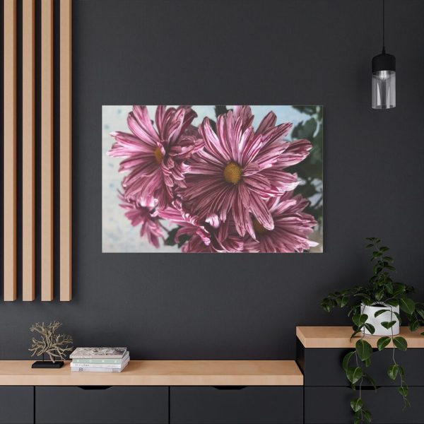 91638-383.jpg Pink-White Daisies Standard Canvas