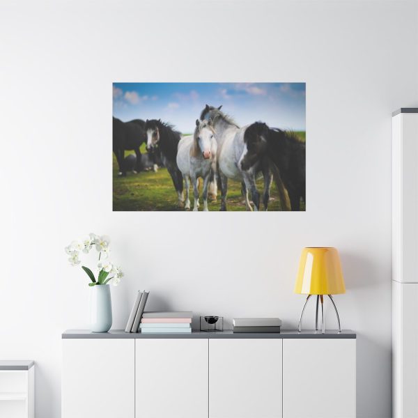 91638-387.jpg A Herd of Grey and White Horses Standard Canvas