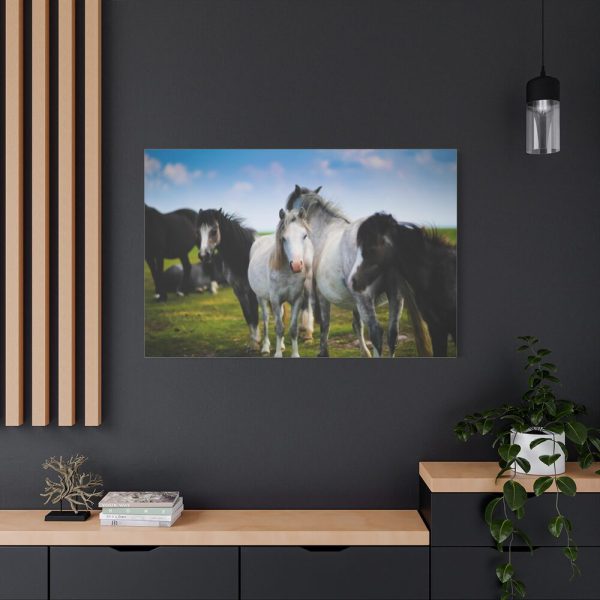 91638-388.jpg A Herd of Grey and White Horses Standard Canvas