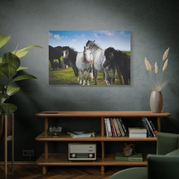 91638-389.jpg A Herd of Grey and White Horses Standard Canvas
