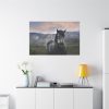 91638-392.jpg Gray Horse Standard Canvas