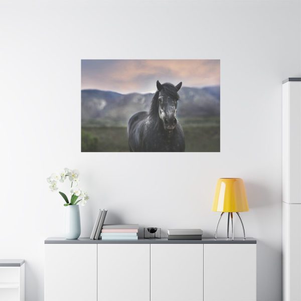 91638-392.jpg Gray Horse Standard Canvas