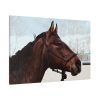 The Side of the Head of a Brown Horse Standard Canvas