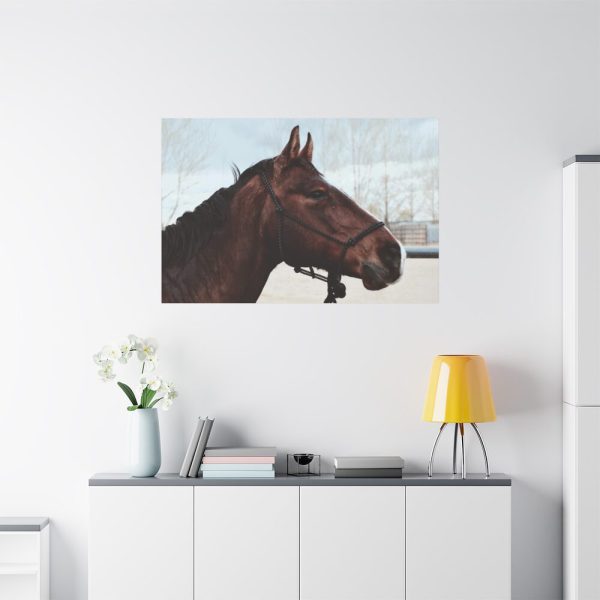 The Side of the Head of a Brown Horse Standard Canvas