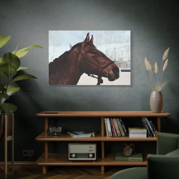 The Side of the Head of a Brown Horse Standard Canvas