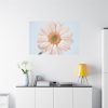 Closeup Daisy Standard Canvas