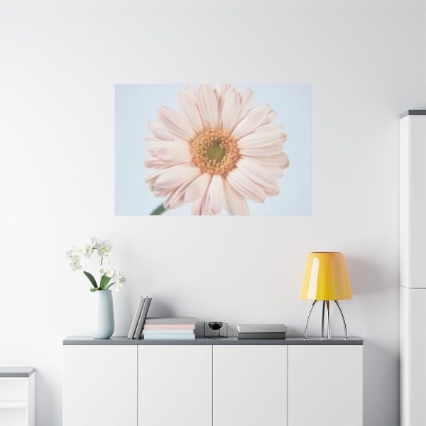 Closeup Daisy Standard Canvas