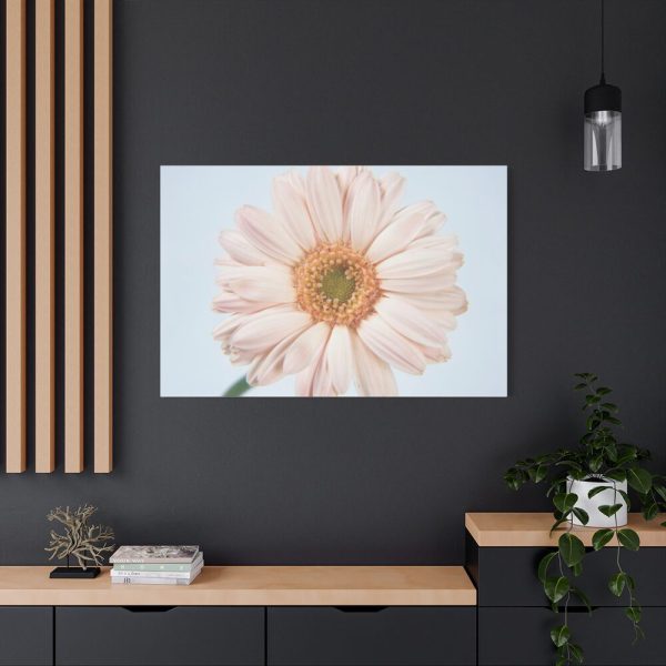 Closeup Daisy Standard Canvas