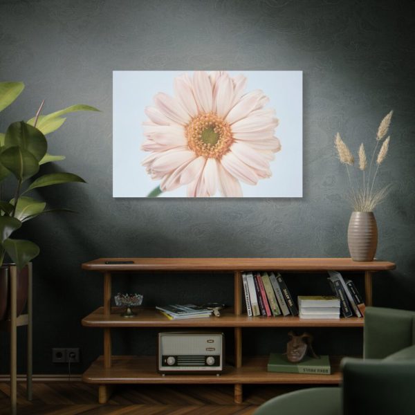Closeup Daisy Standard Canvas