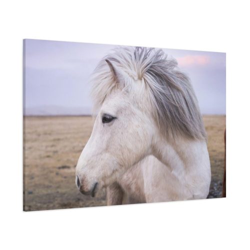91638-405.jpg A Close-up of a Gray Horse Standard Canvas