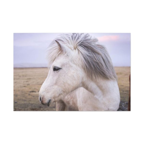 91638-406.jpg A Close-up of a Gray Horse Standard Canvas