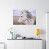 91638-407.jpg A Close-up of a Gray Horse Standard Canvas